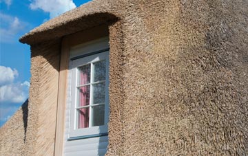 Knockrome thatch roof disadvantages
